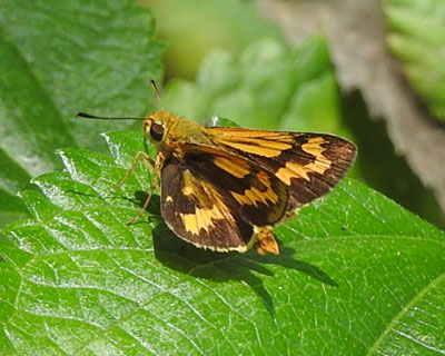 �L�}�_���Z�Z��