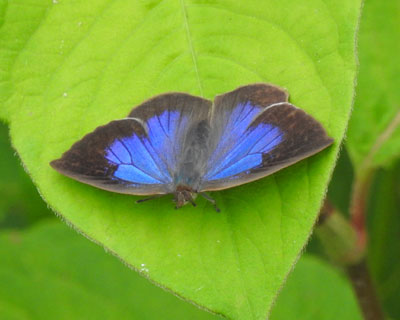 �����T�L�V�W�~