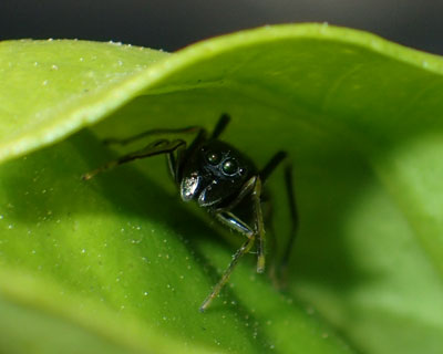 �A���O��