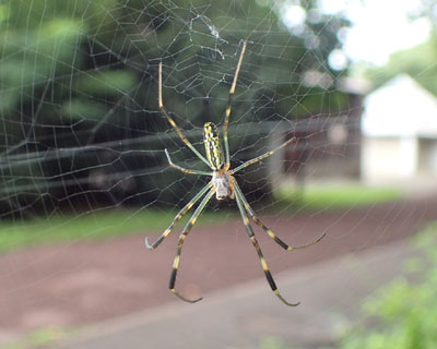 �Ⴂ�W�����E�O��