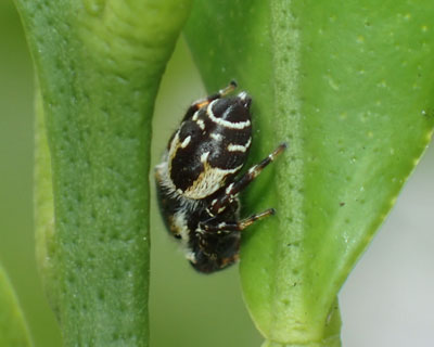 ���K�͂����