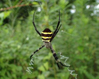 �R�K�l�O��