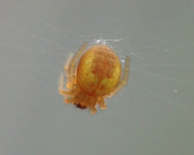 ���������N��