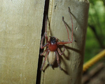 �����Ԃ��N��