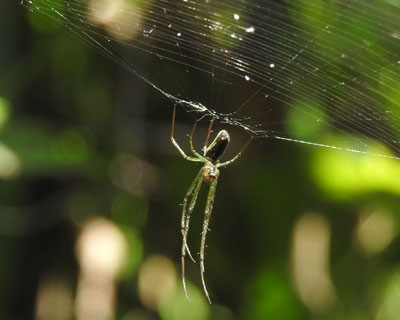 �Ԃ牺����N��