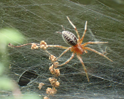 ���Ԃ�N�T�O��