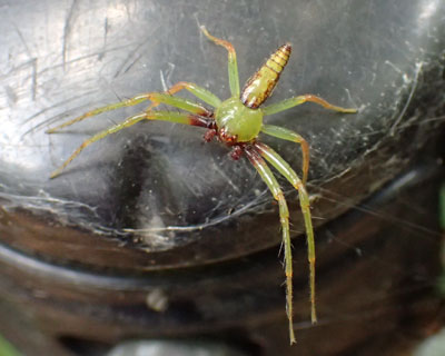 ���J�o�O��