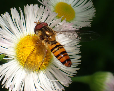 �悭����A�u