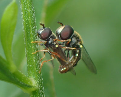 ��������[���A�u