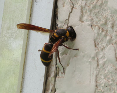 ���͕K���`�F�b�N