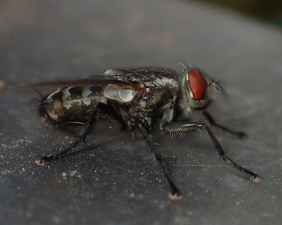 ���������������������