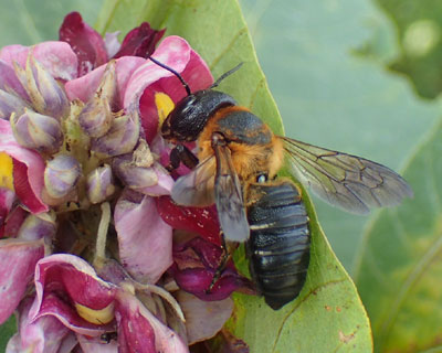 �I�I�n�L���o�`����