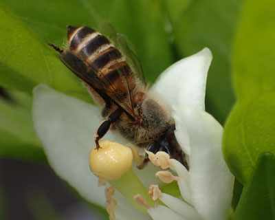 ���K�c��