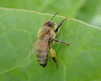 �����n�`