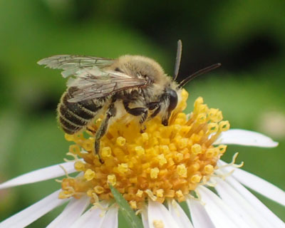 �݂�ȑO������