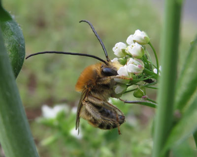 �q�Q�i�K�n�i�o�`