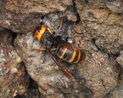 �R�K�^�X�Y���o�`