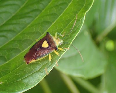 �G�T�L�����L�c�m�J�����V