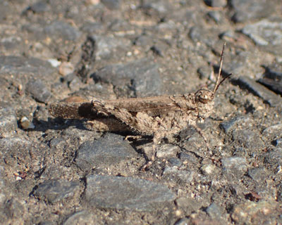 �������������H