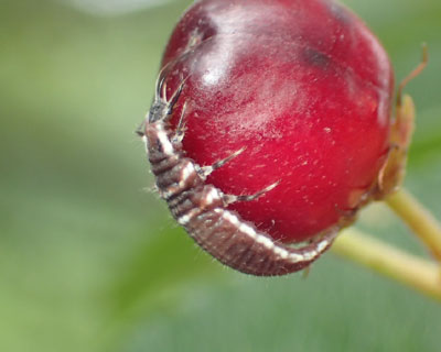 �X�Y�L�N�T�J�Q���E