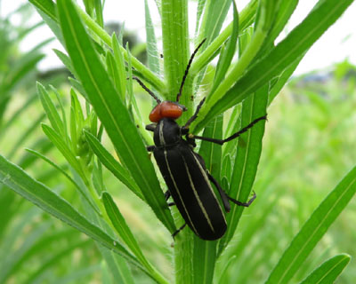 �}���n���~���E