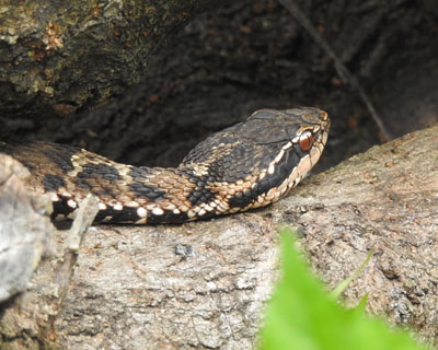 �ӊO�ɋC���ア