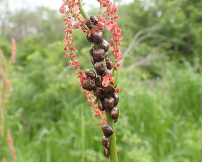 �e�}���J�����V����������