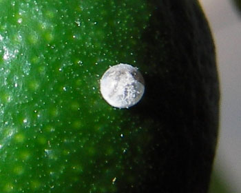 ������ŏI���܂���