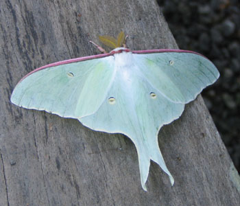 �\��t���I�I�~�Y�A�I