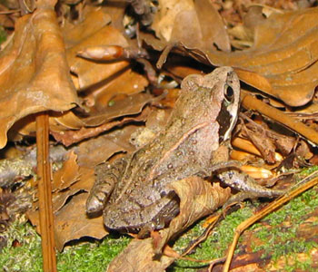 ���}�A�J�K�G��