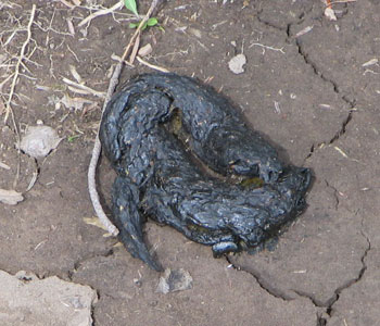 �����F�H