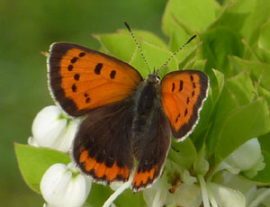 �x�j�V�W�~