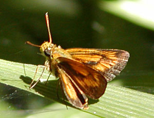 �q���L�}�_���Z�Z��