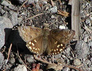 �~���}�Z�Z��