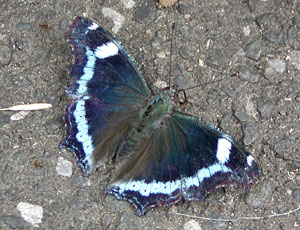 �r�������^�e�n