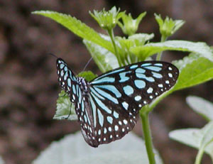 �����E�L���E�A�T�M�}�_��