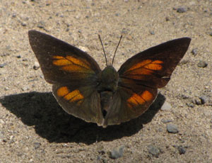 �E���M���V�W�~�j�q