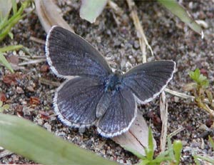 ���}�g�V�W�~