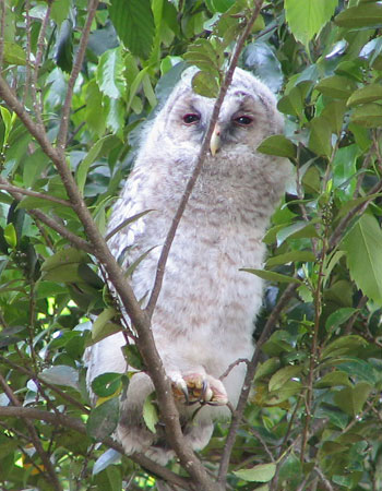 �����A����