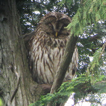 �e������