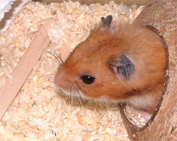 �x���S��