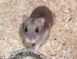 �Q�N���}��