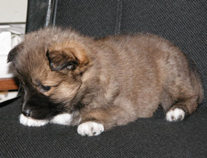 �͂��߂܂��āA�͂Ȃ��ł�