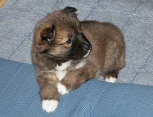 �����Ȃ�Ȃ��܂���