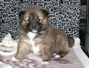 �S�̂͂���Ȃł�