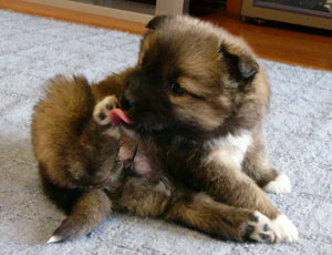 �����Ȃ߂܂�