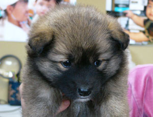 ���܂��Ă��܂���