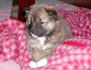 �����܂������܂�