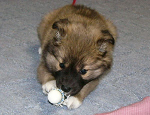 �����^��