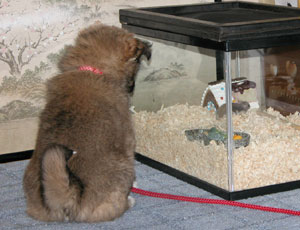 �}������񂪋C�ɂȂ�